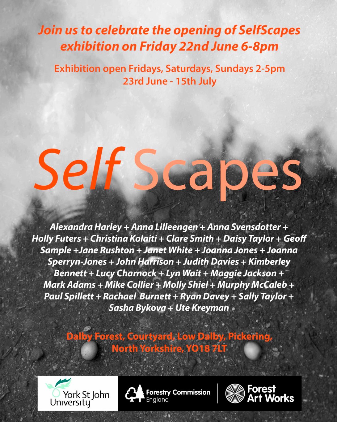 SelfScapes exhibition invite final
